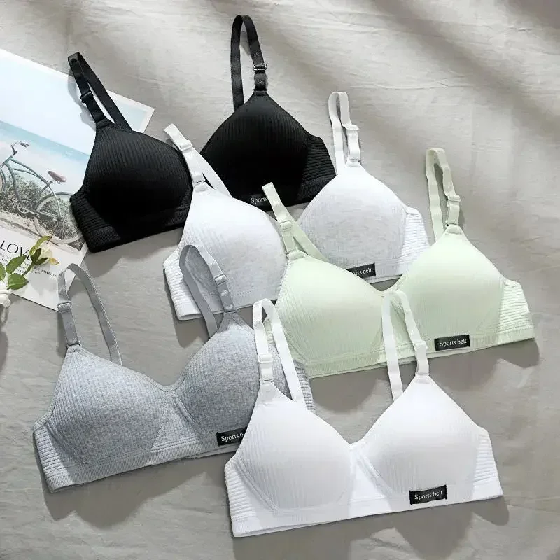 Girls Bras Adolescent Tube Top 3 Hook-and-eye Lingerie Gather for Sports  Students Bralette Solid Color Vest Underwear for Light gray white 